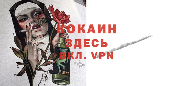 прущие грибы Нефтекумск