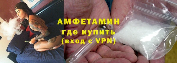 прущие грибы Нефтекумск