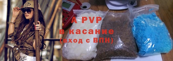 прущие грибы Нефтекумск