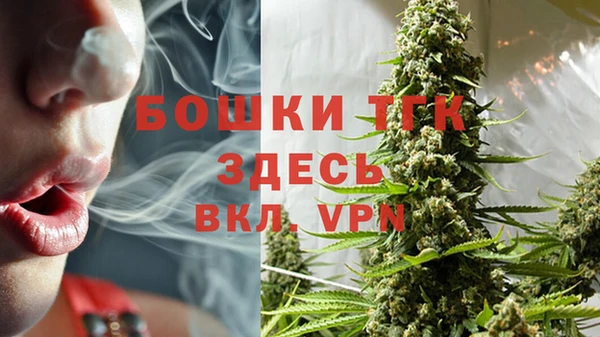 прущие грибы Нефтекумск