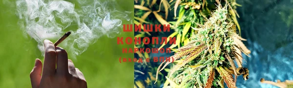 кокс Нея