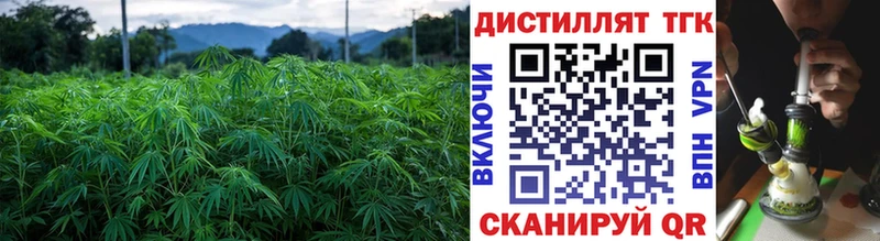 Дистиллят ТГК Wax  Хадыженск 